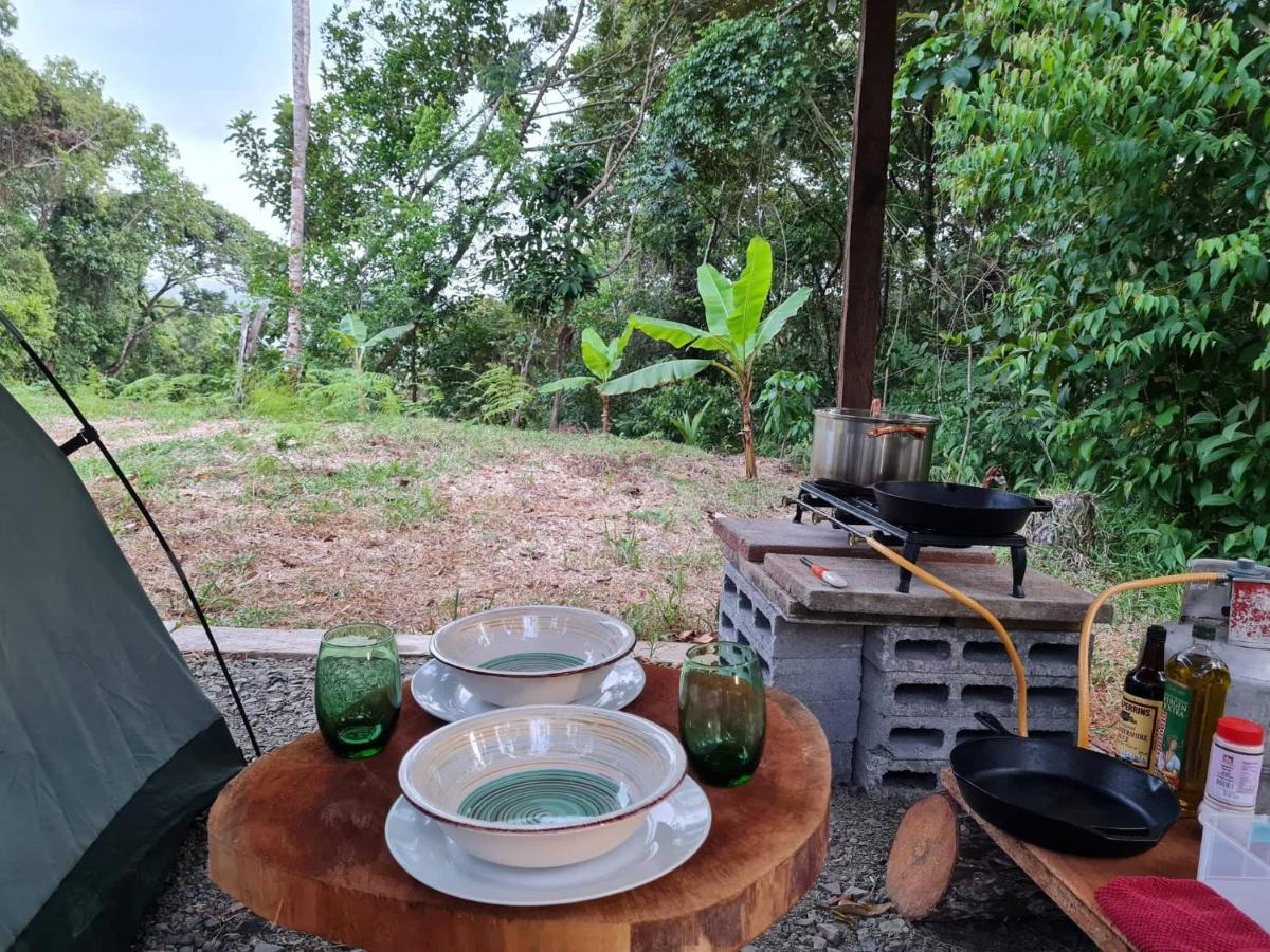 Jungle Eco Reserve Hotel Colón Kültér fotó