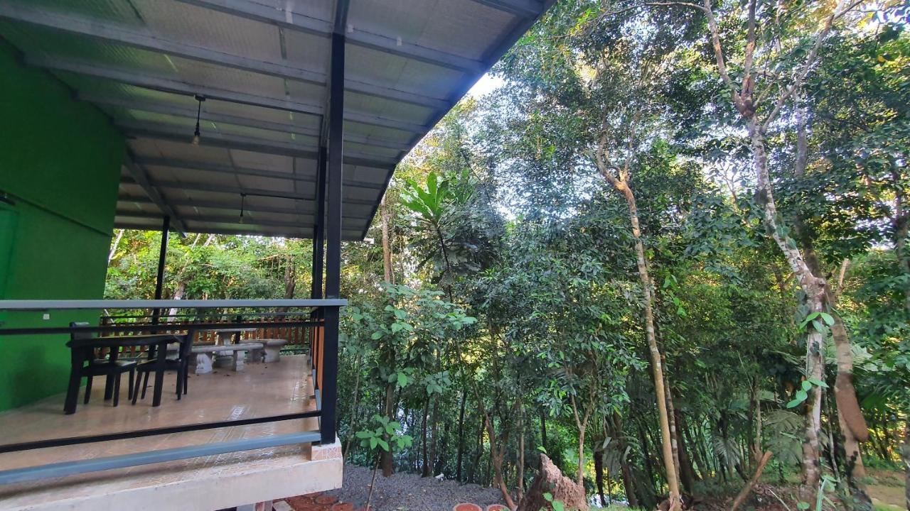 Jungle Eco Reserve Hotel Colón Kültér fotó