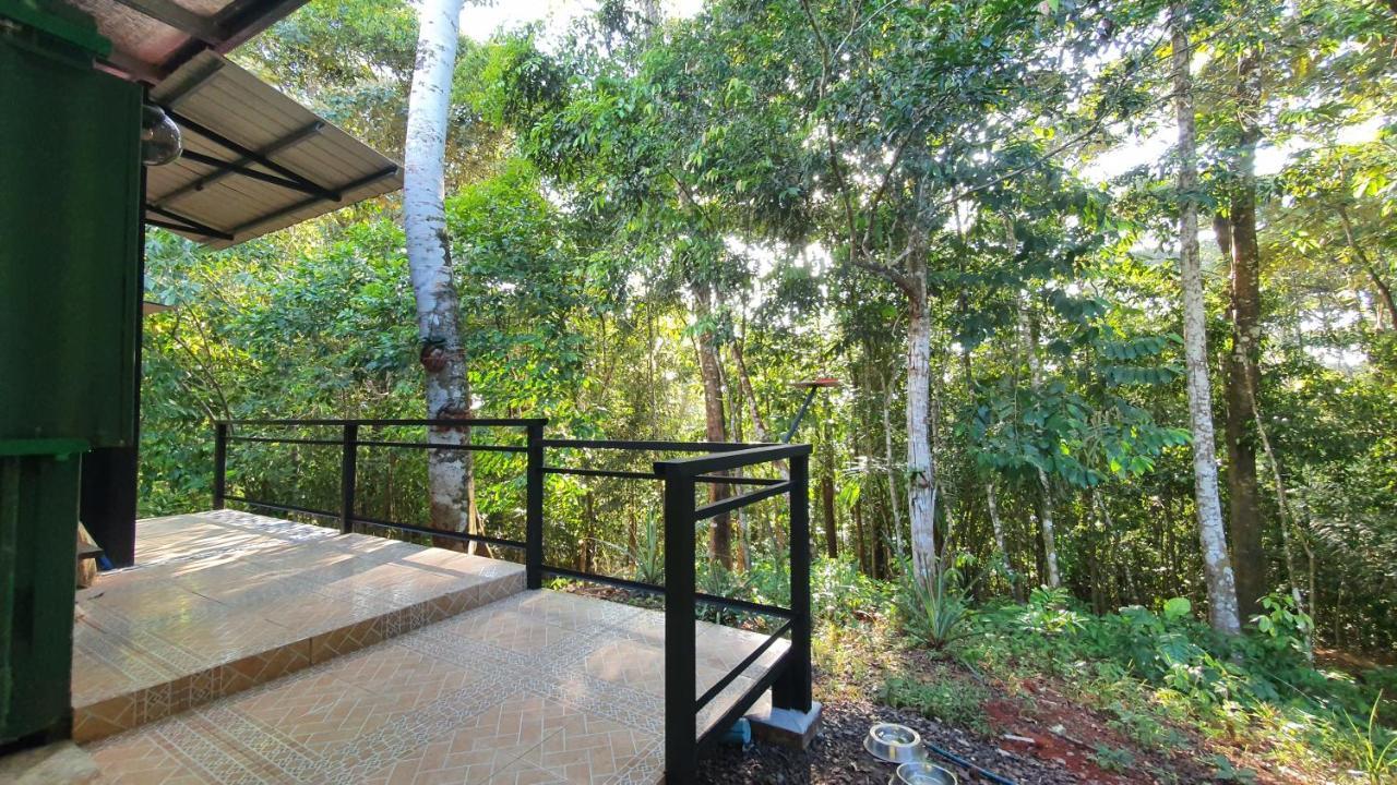 Jungle Eco Reserve Hotel Colón Kültér fotó