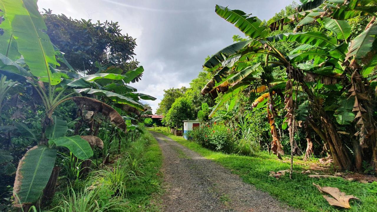 Jungle Eco Reserve Hotel Colón Kültér fotó