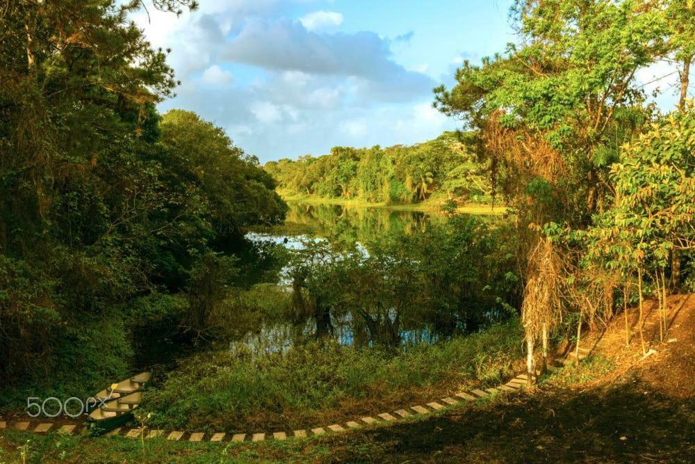 Jungle Eco Reserve Hotel Colón Kültér fotó