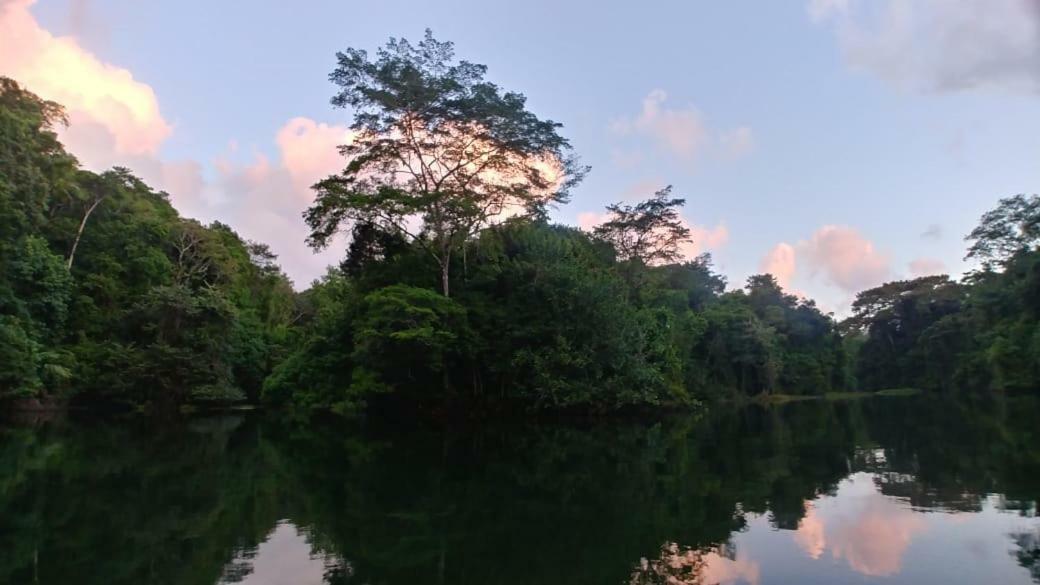 Jungle Eco Reserve Hotel Colón Kültér fotó