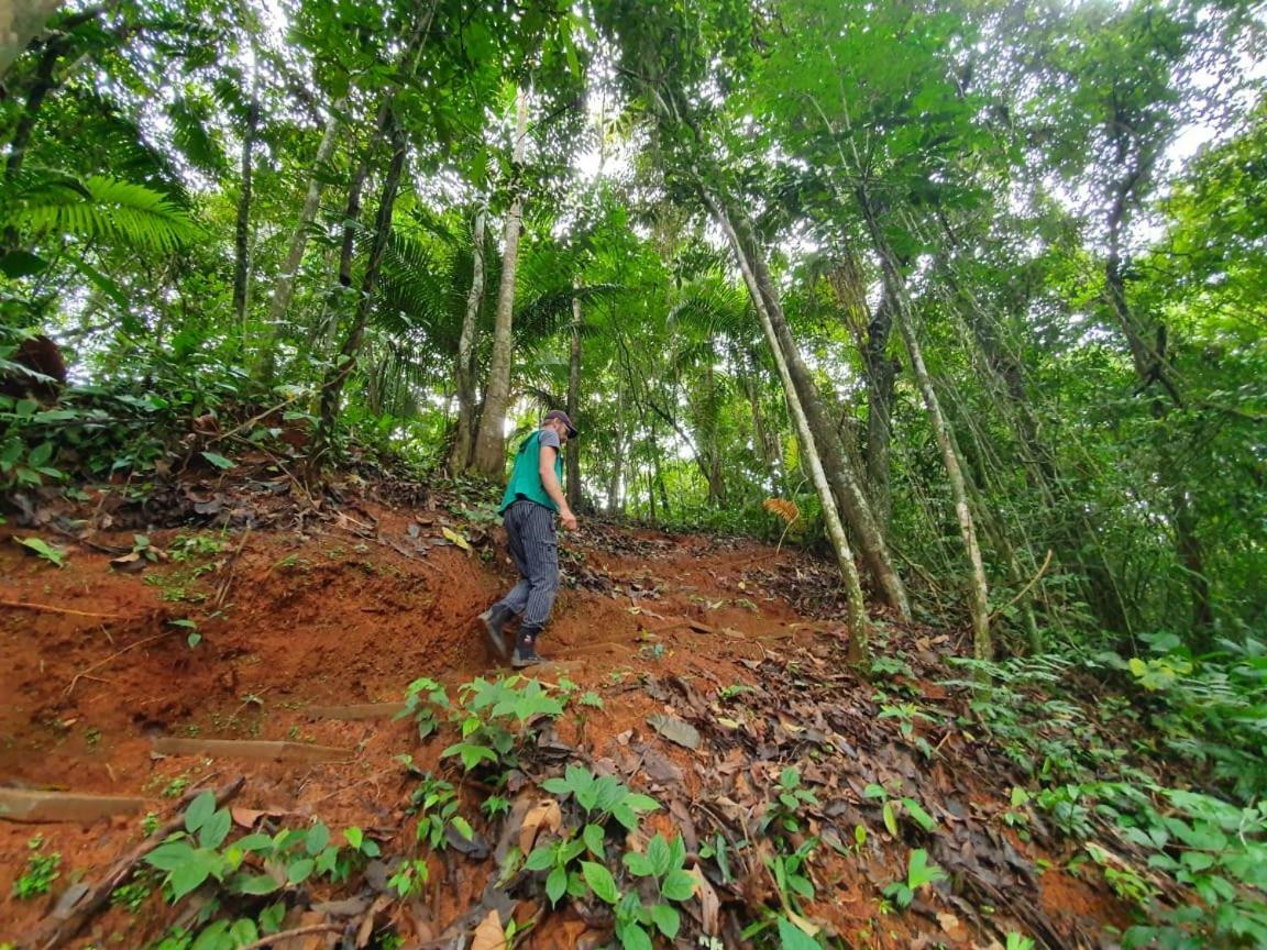 Jungle Eco Reserve Hotel Colón Kültér fotó