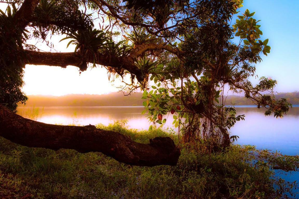Jungle Eco Reserve Hotel Colón Kültér fotó