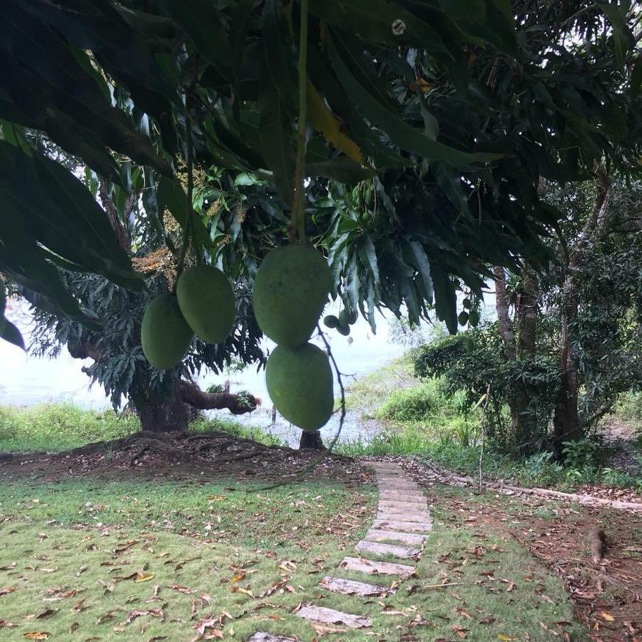 Jungle Eco Reserve Hotel Colón Kültér fotó
