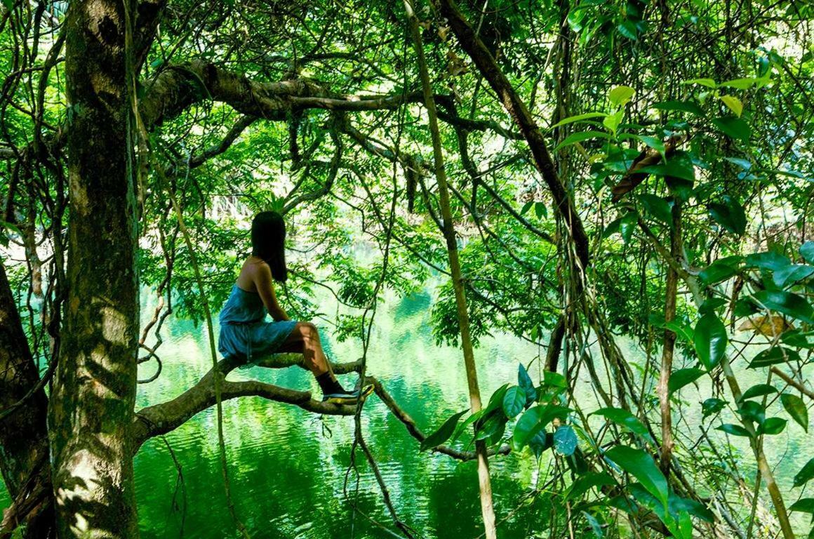 Jungle Eco Reserve Hotel Colón Kültér fotó
