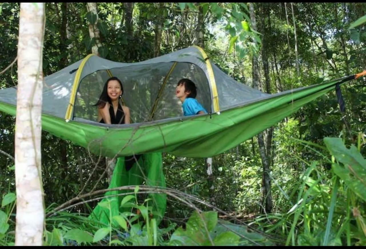 Jungle Eco Reserve Hotel Colón Kültér fotó