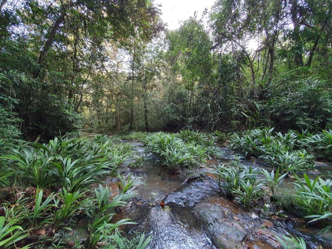 Jungle Eco Reserve Hotel Colón Kültér fotó