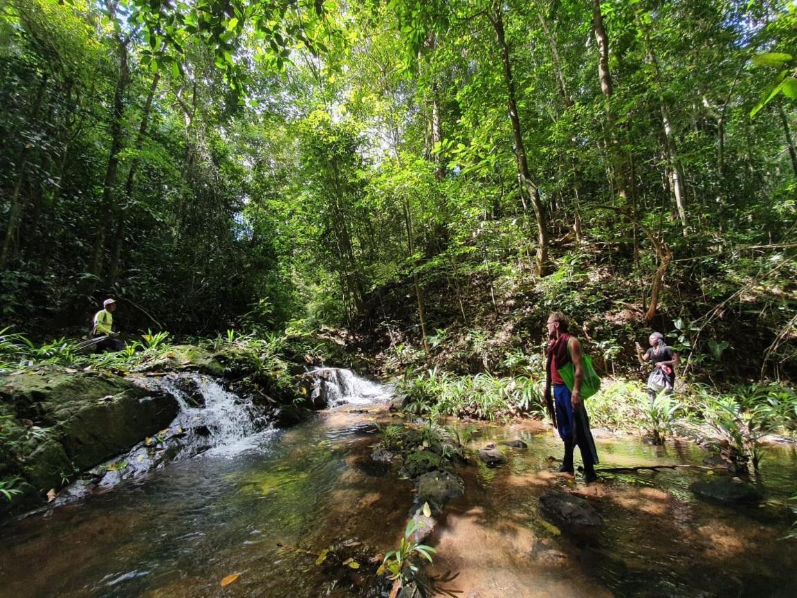 Jungle Eco Reserve Hotel Colón Kültér fotó