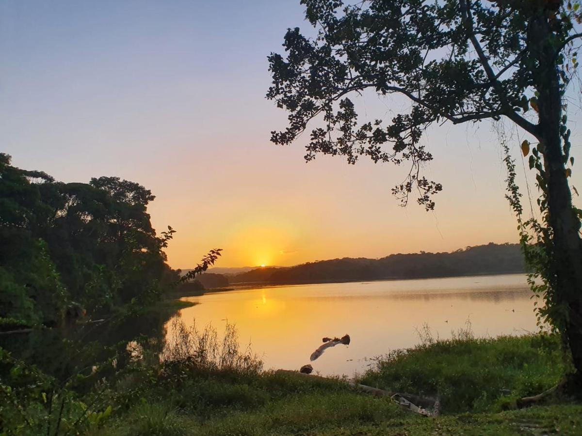 Jungle Eco Reserve Hotel Colón Kültér fotó