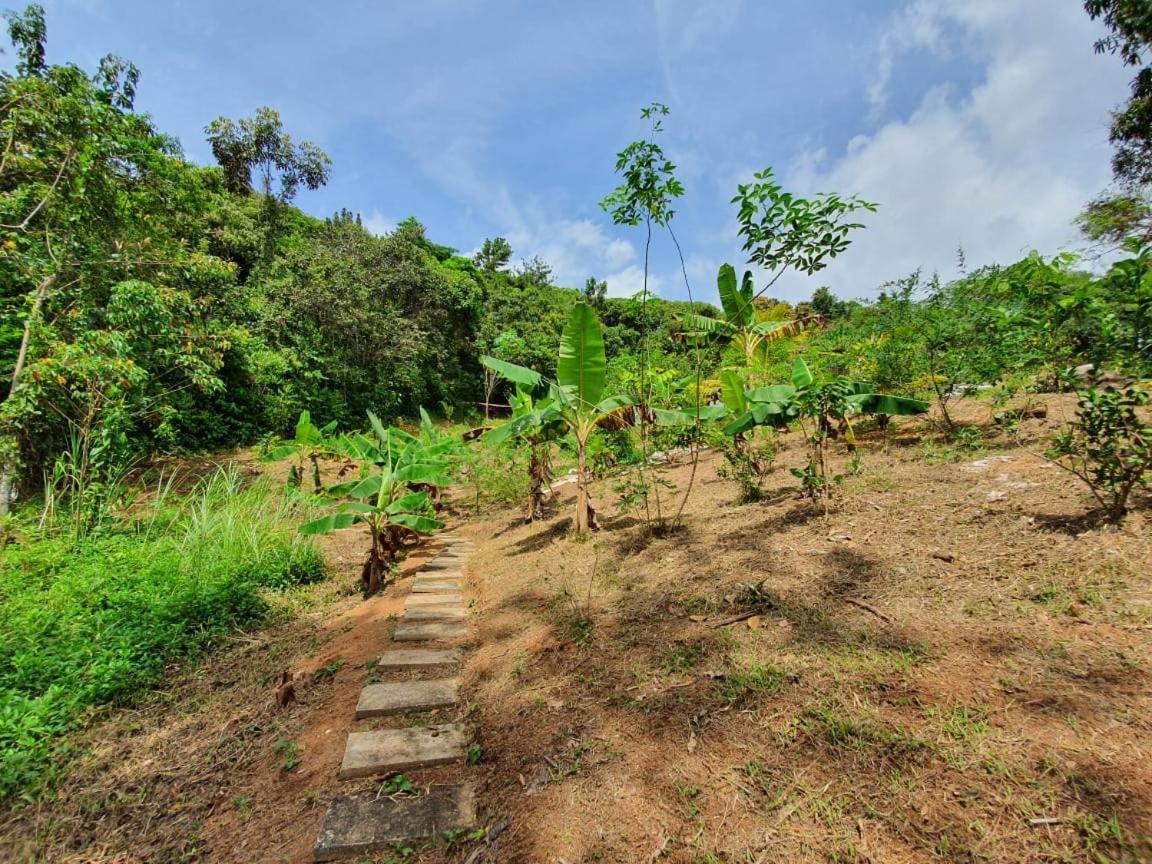 Jungle Eco Reserve Hotel Colón Kültér fotó