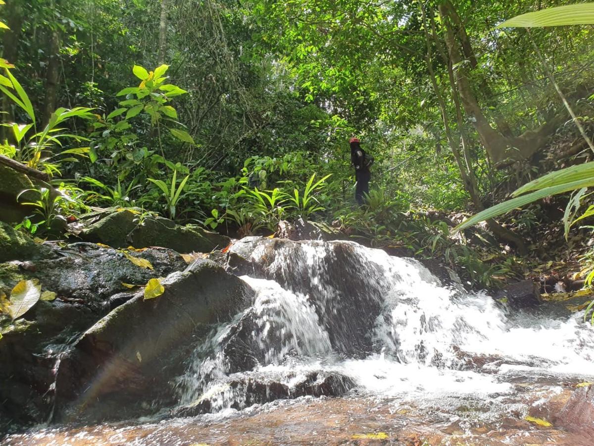 Jungle Eco Reserve Hotel Colón Kültér fotó