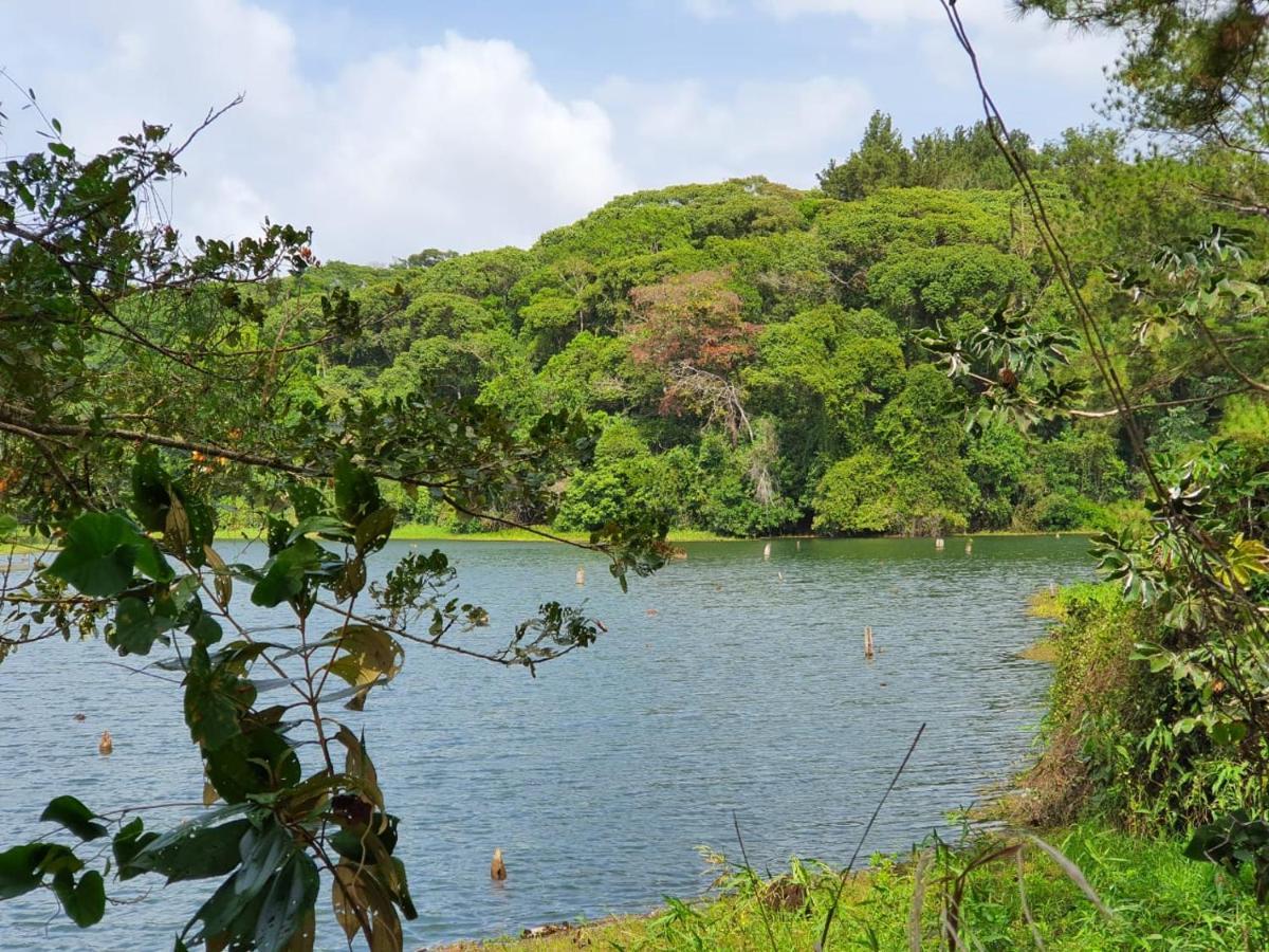 Jungle Eco Reserve Hotel Colón Kültér fotó